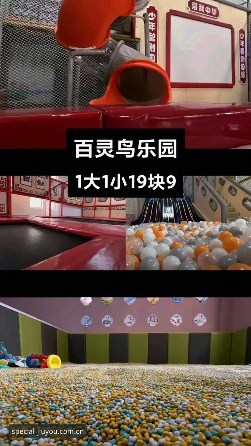 九游APP登录失败怎么办：从v2.3.0到DEV版本，我的排查实录与操作教程